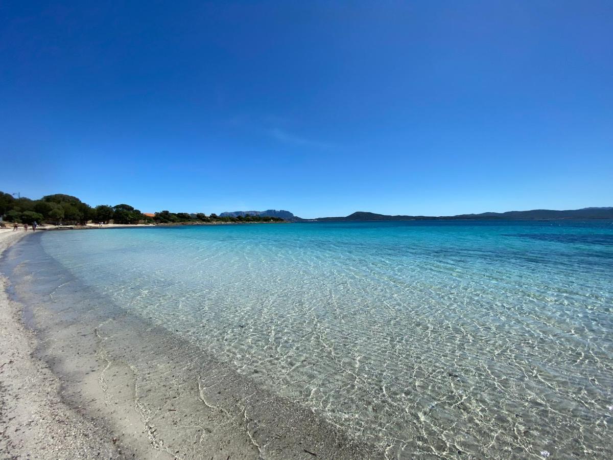 La Casa Blu Βίλα San Pantaleo Εξωτερικό φωτογραφία