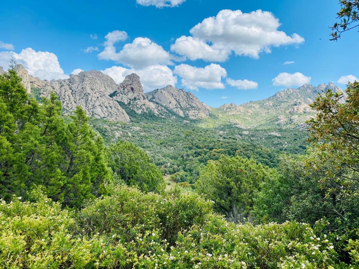 La Casa Blu Βίλα San Pantaleo Εξωτερικό φωτογραφία