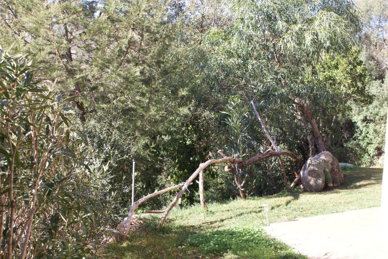 La Casa Blu Βίλα San Pantaleo Εξωτερικό φωτογραφία